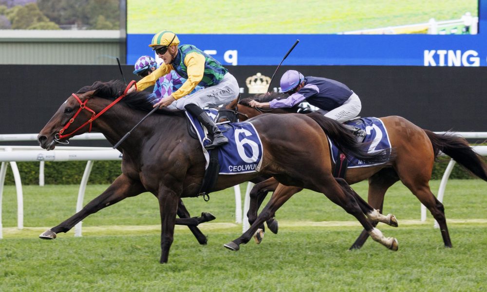 又需抵挡住 又需抵挡住