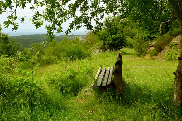错判时机 错判时机