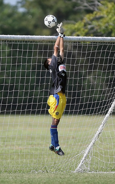 的策略和实 的策略和实